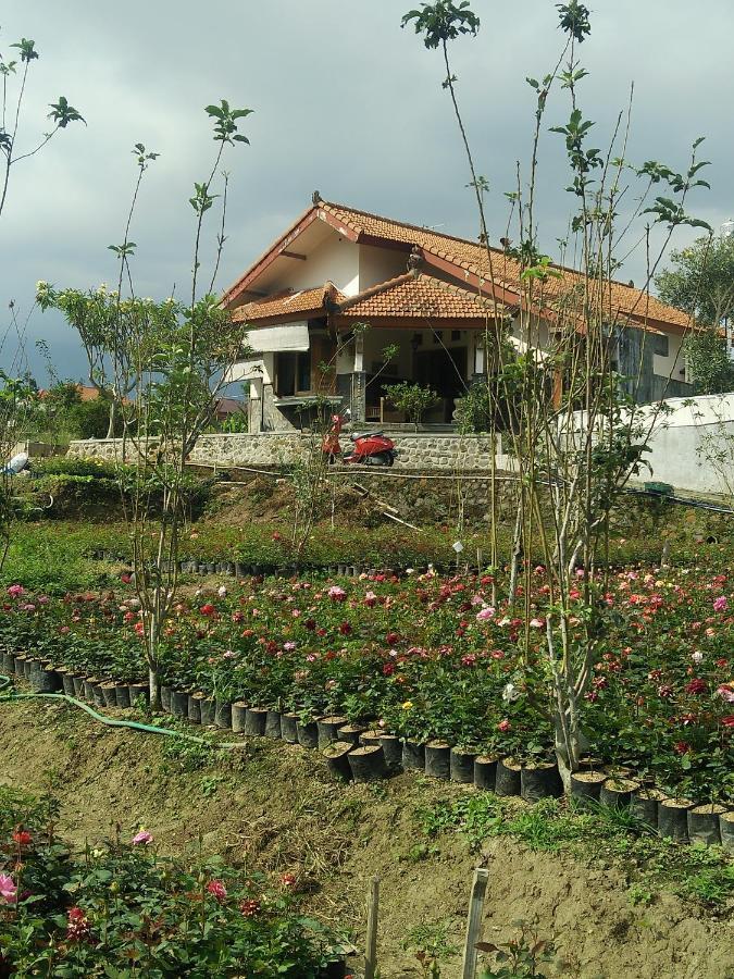 Shanty'S House Batu  Luaran gambar