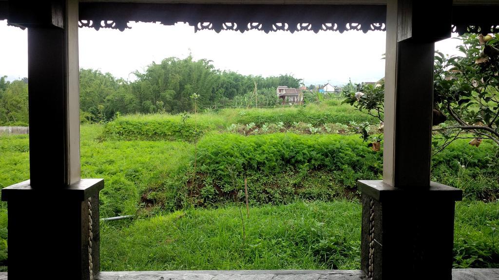 Shanty'S House Batu  Bilik gambar