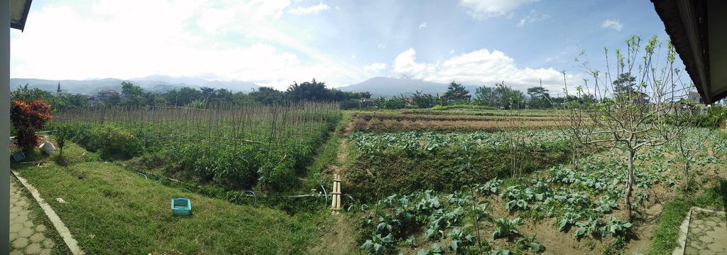 Shanty'S House Batu  Luaran gambar