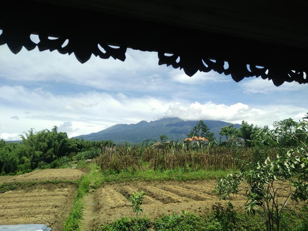 Shanty'S House Batu  Luaran gambar