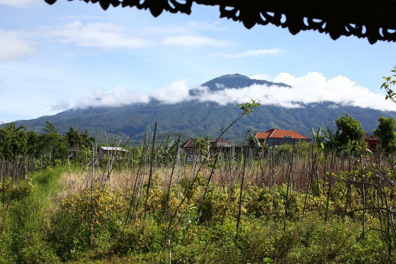 Shanty'S House Batu  Luaran gambar